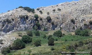 Rocche del Crasto